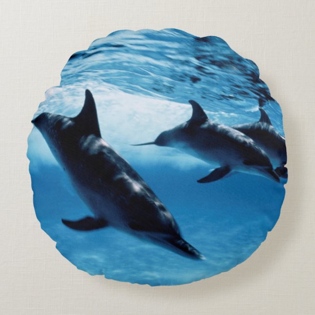 Trio of Dolphins Round Cushion (Front)