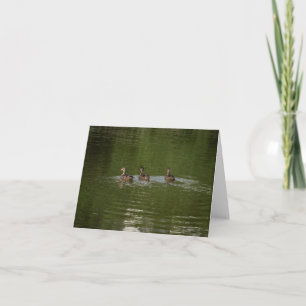 Trio of Ducks Thank You Card