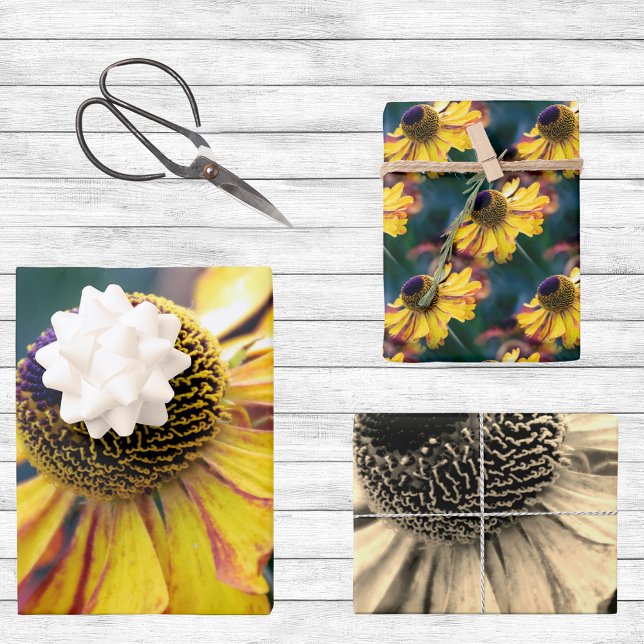 Trio of Gold and Purple Helenium Flowers  Wrapping Paper Sheet (Creator Uploaded)