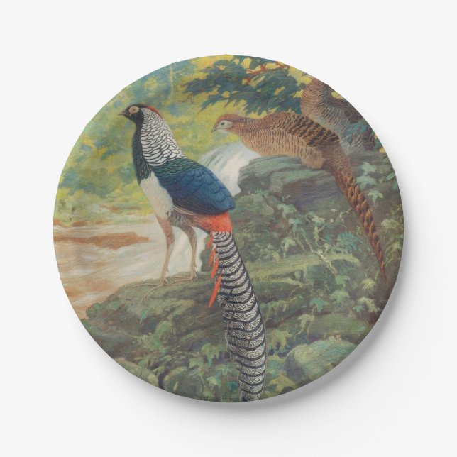 Trio of Lady Amherst's pheasant by waterfall Paper Plate (Front)