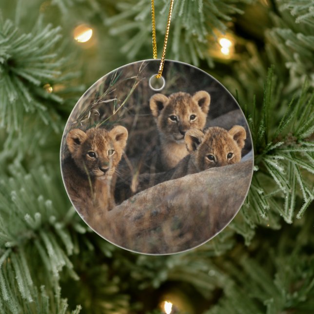 Trio of Lion Cubs with Mother Ceramic Tree Decoration (Tree)