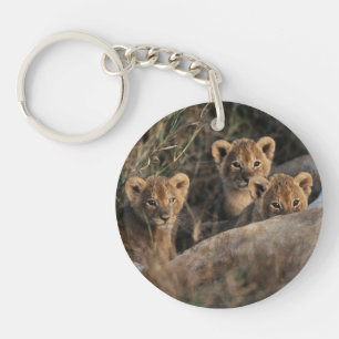 Trio of Lion Cubs with Mother Key Ring