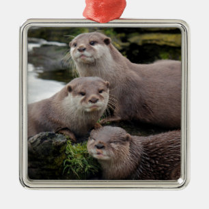 Trio of Otters Metal Tree Decoration