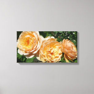 Trio of Peach Roses Floral Canvas Print