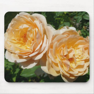 Trio of Peach Roses Floral Mouse Mat