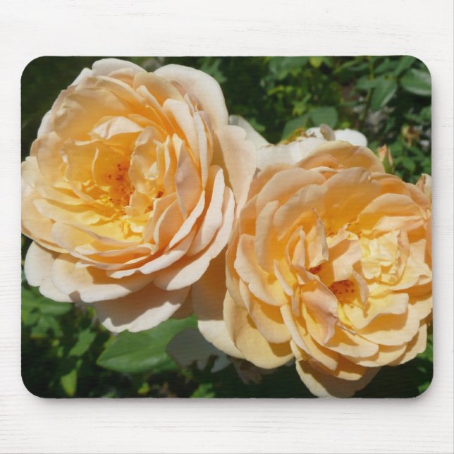 Trio of Peach Roses Floral Mouse Mat (Front)