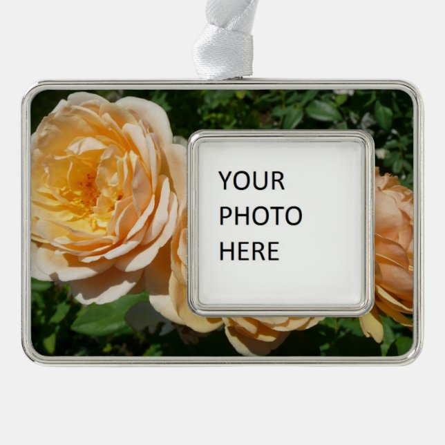 Trio of Peach Roses Floral Silver Plated Framed Ornament (Front)