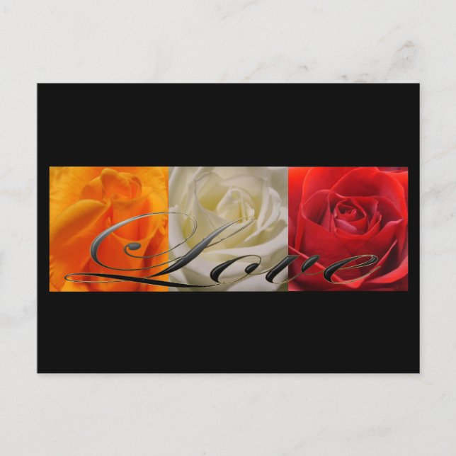 Trio of Roses Postcard (Front)