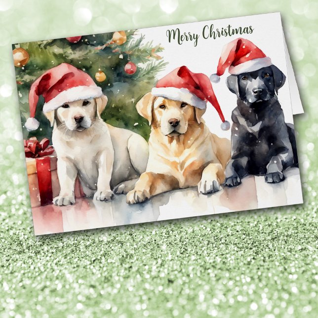 Trio of Santa Hat Labrador Retrievers Christmas (Creator Uploaded)