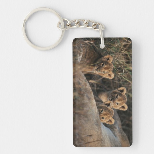 Trio of six week old Lion cubs sitting Key Ring (Front)