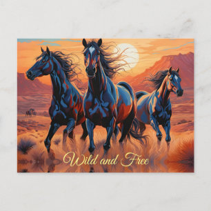 Trio of Wild Horses in the Desert Postcard