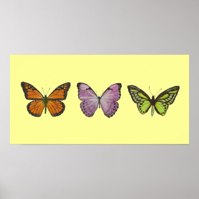 Triple Butterfly Poster Horizontal (Front)