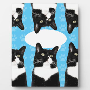 Triple Cute Kitty Statement Plaque