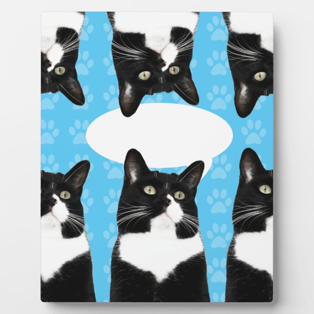 Triple Cute Kitty Statement Plaque (Front)
