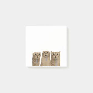 Triple Drooling Goofy Cats Meme Post-it Notes
