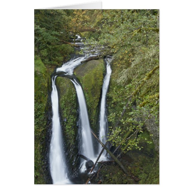 Triple Falls, Columbia River Gorge (Front)