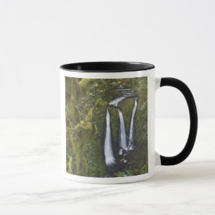 Triple Falls, Columbia River Gorge 2 Mug