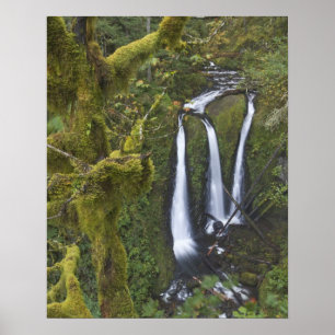 Triple Falls, Columbia River Gorge 2 Poster