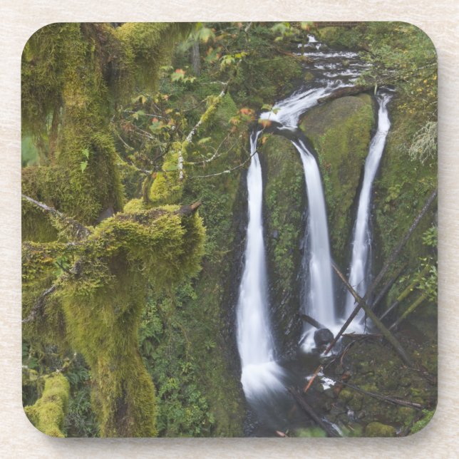 Triple Falls, Columbia River Gorge Coaster (Front)