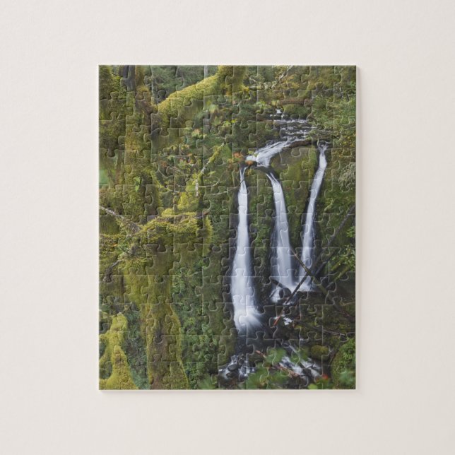 Triple Falls, Columbia River Gorge Jigsaw Puzzle (Vertical)