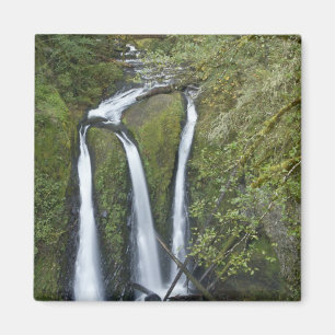 Triple Falls, Columbia River Gorge Magnet
