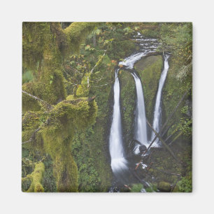 Triple Falls, Columbia River Gorge Magnet