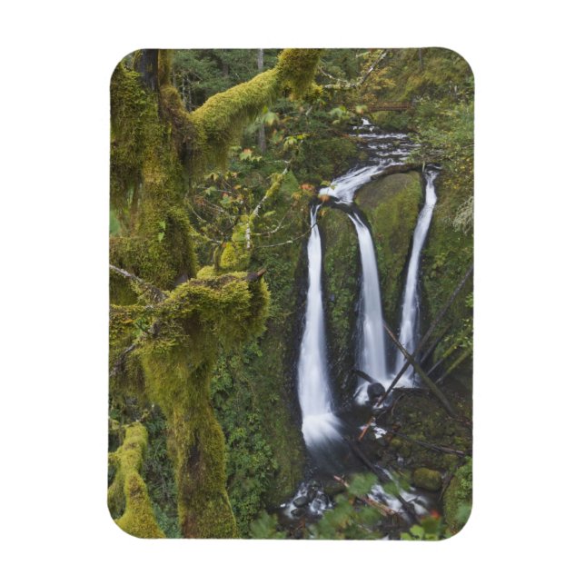 Triple Falls, Columbia River Gorge Magnet (Vertical)
