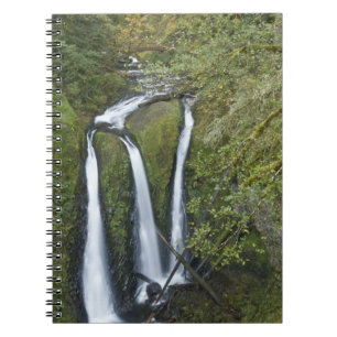 Triple Falls, Columbia River Gorge Notebook