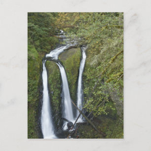 Triple Falls, Columbia River Gorge Postcard