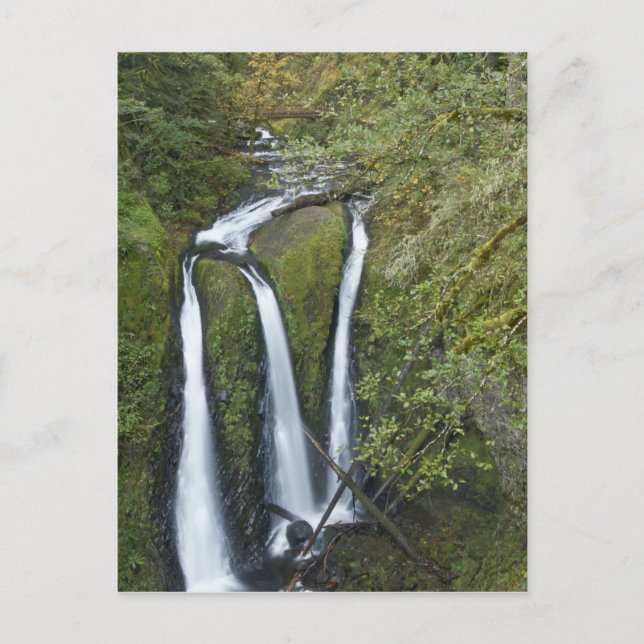 Triple Falls, Columbia River Gorge Postcard (Front)