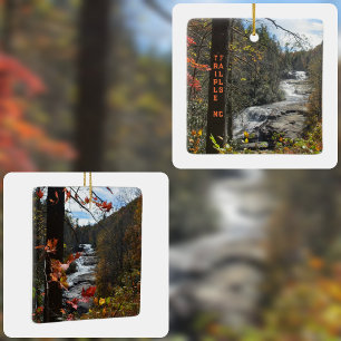 Triple Falls DuPont State Forest NC Photographic Ceramic Ornament
