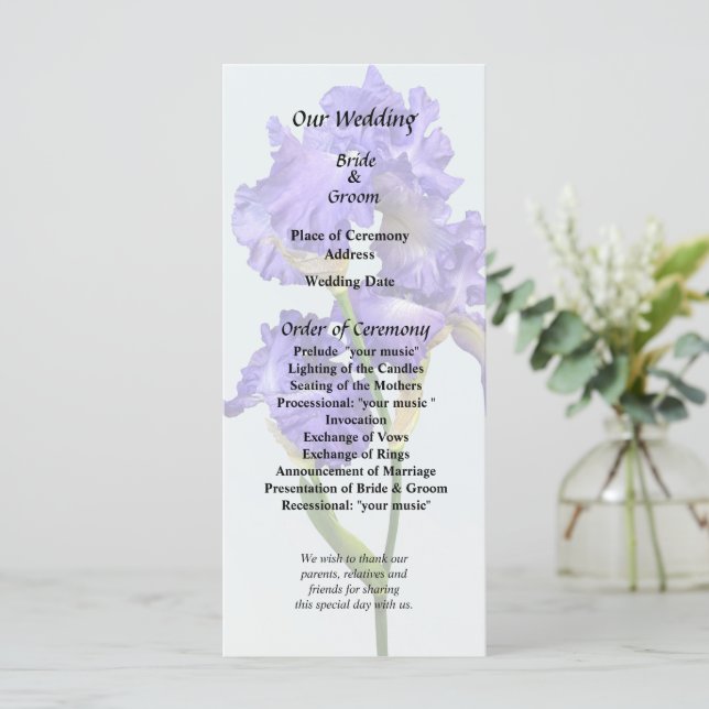 Triple Purple Iris Programme (Standing Front)