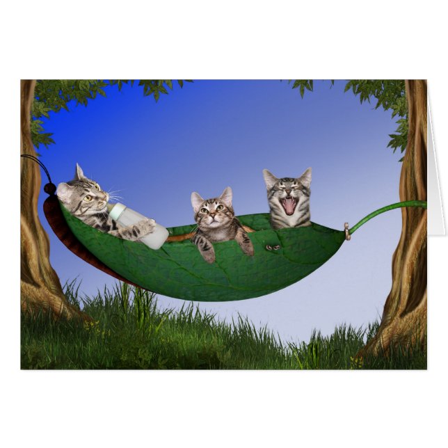 Triplet kitties (Front Horizontal)