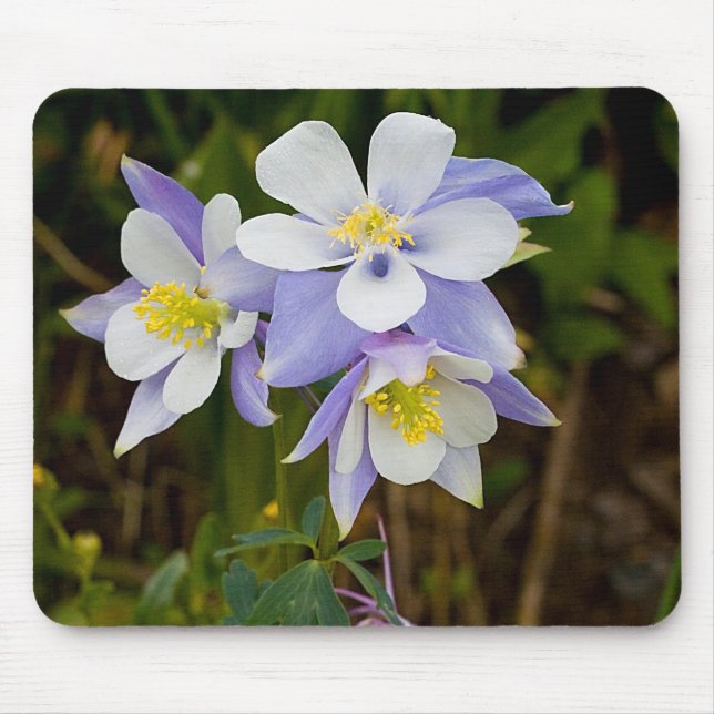 Triplets and New Bloom Mouse Mat (Front)