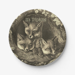 Triplets vintage baby fox woodland shower paper plate