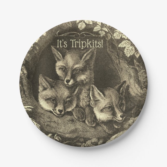 Triplets vintage baby fox woodland shower paper plate (Front)