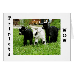 TRIPLETS=WOW=FANTASTIC