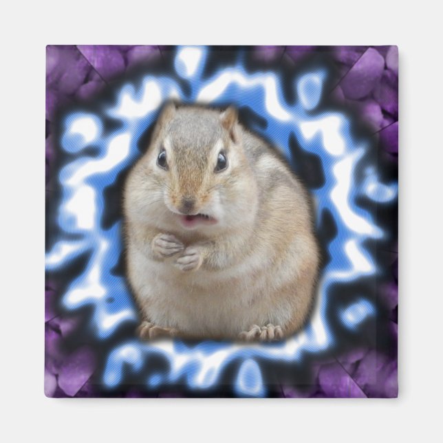 Tripmunk Magnet (Front)