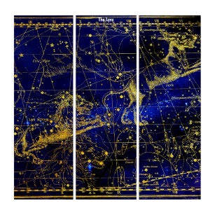 Triptych Wall Art Lynx Constellation