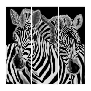 Triptych  with Zebras Couple - Black White Art