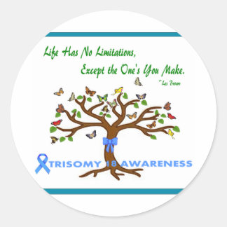 Trisomy 18 Life Has No Exceptions Classic Round Sticker