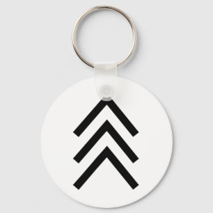 Trisomy 21 Down Syndrome Three Chromosome Arrows 1 Key Ring