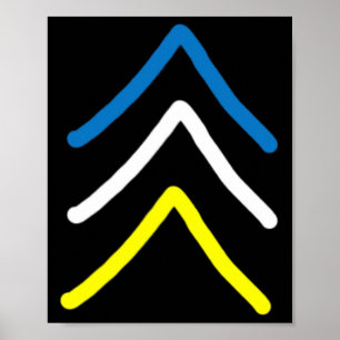 Trisomy 21 Down Syndrome Three Chromosome Arrows  Poster