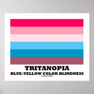 Tritanopia Blue-Yellow Color Blindness Poster