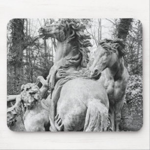 Tritons grooming two horses of the sun mouse mat