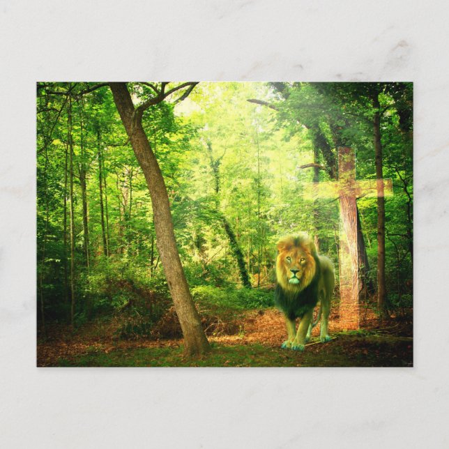 Triumphant King Postcard (Front)