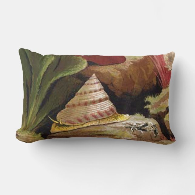 Troca Seashell with Coral Nautical Pillow Designs (Front)