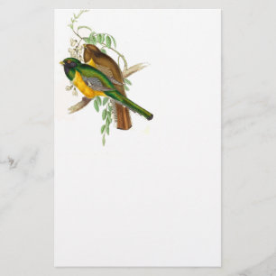 Trogon Bird BT Stationery