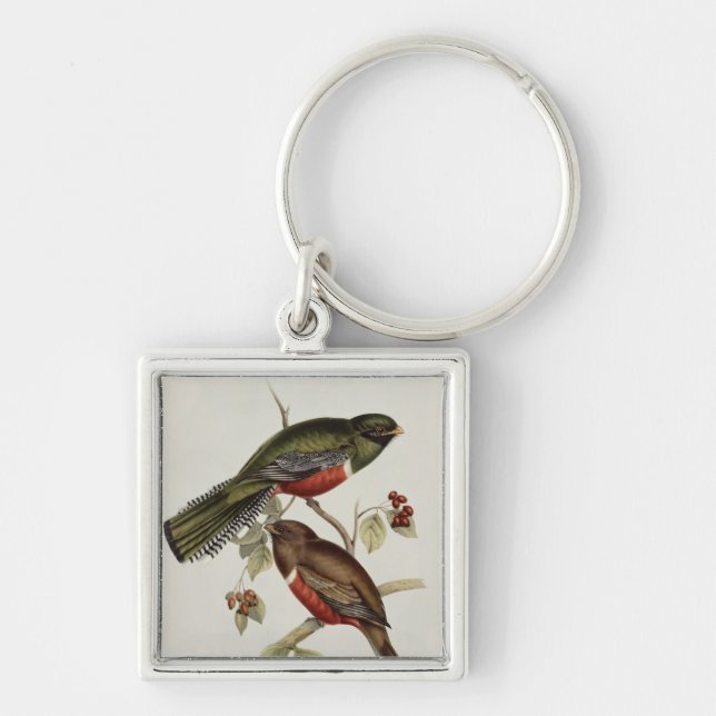 Trogon Collaris Key Ring (Front)