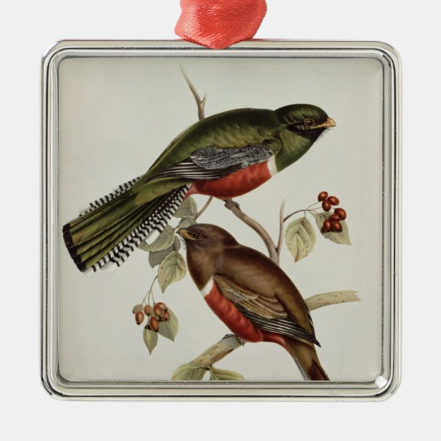 Trogon Collaris Metal Tree Decoration (Front)